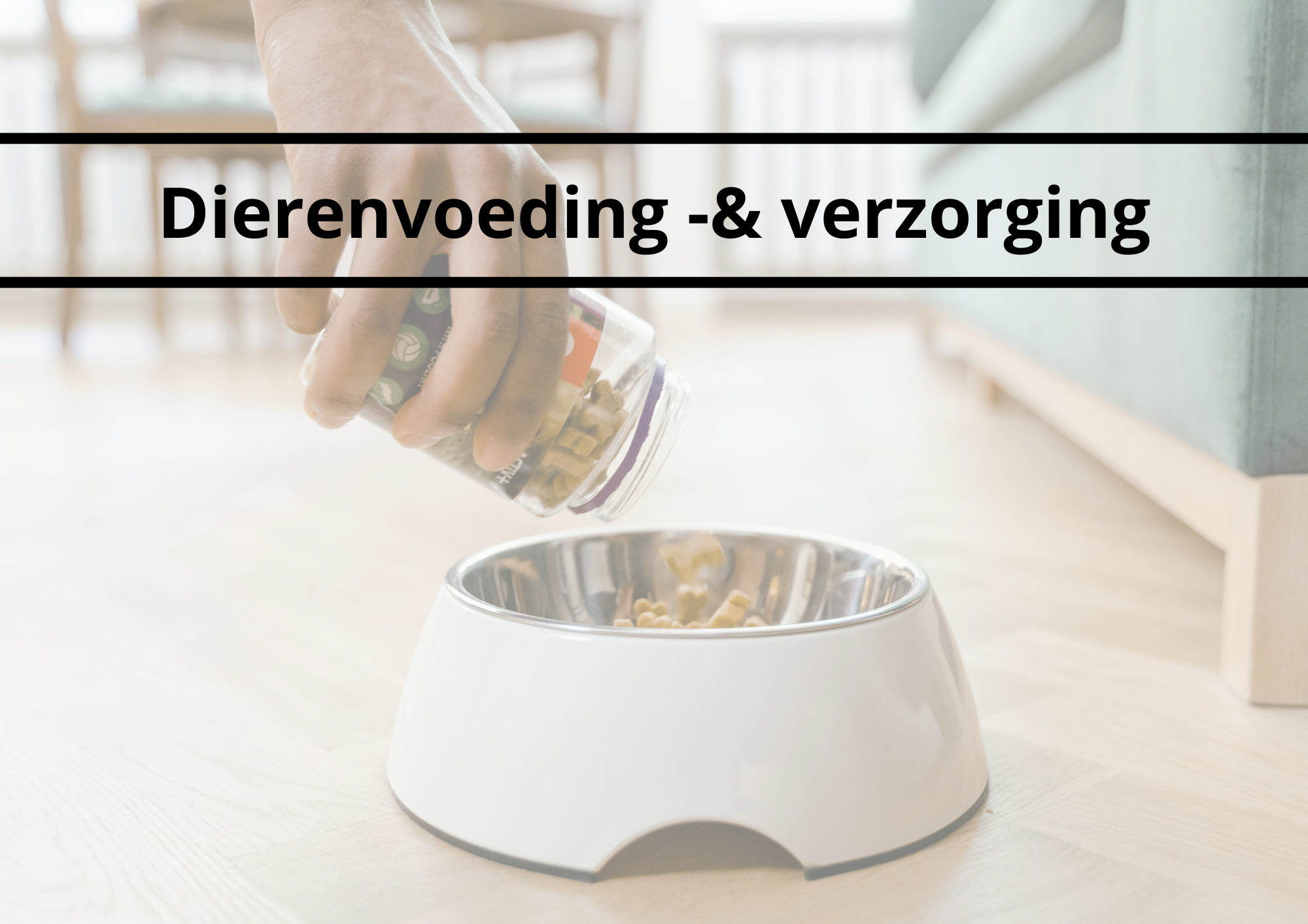 Dierenvoeding & verzorging